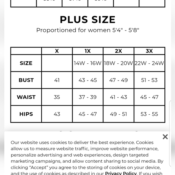 Talbots Plus sleeveless dress back zipper sz X EUC Navy/white chevron pattern - Picture 8 of 8